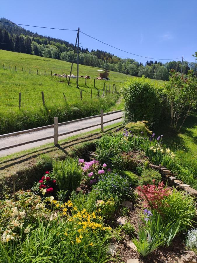 Maison Le Rozet Les Gras Dış mekan fotoğraf
