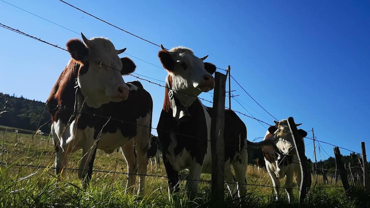 Maison Le Rozet Les Gras Dış mekan fotoğraf